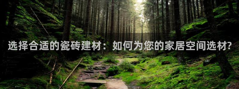杏鑫平台代理怎么做赚钱