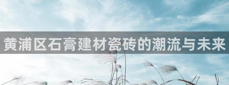 杏鑫娱乐靠谱吗