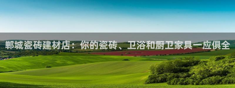 杏鑫平台代理注册流程视频