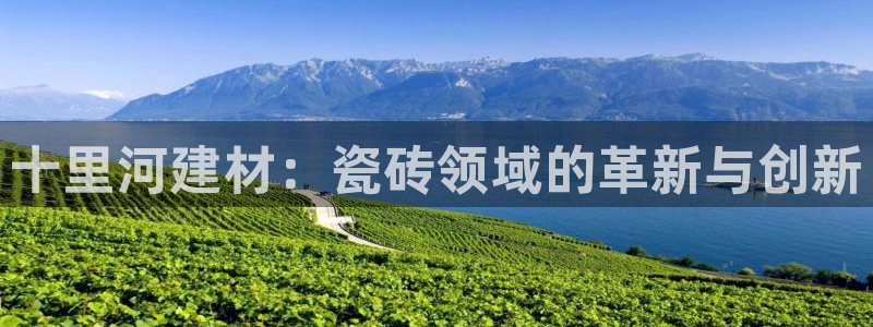 杏鑫平台代理注册