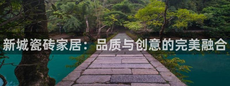 杏鑫平台代理注册流程视频