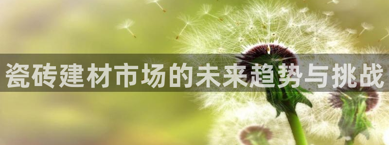 杏鑫平台注册地址是哪里