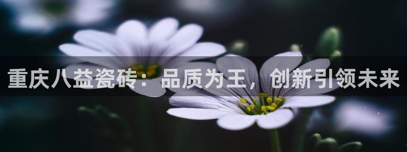 杏鑫平台代理注册登录不了怎么办呀视频