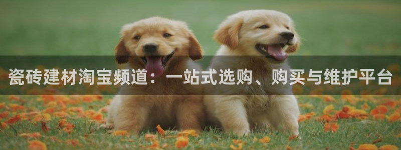 杏鑫平台招商怎么样啊