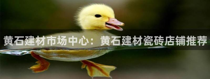 杏鑫官方平台怎么样可靠吗