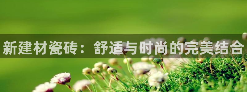 杏鑫平台注册地址在哪里