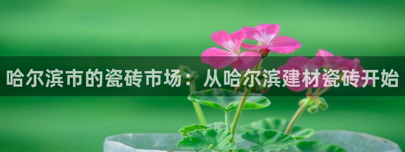 杏鑫平台代理注册多少钱一年