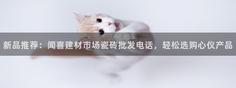 杏鑫平台平台娱乐