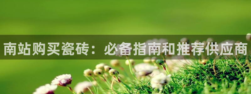 杏鑫平台怎么样