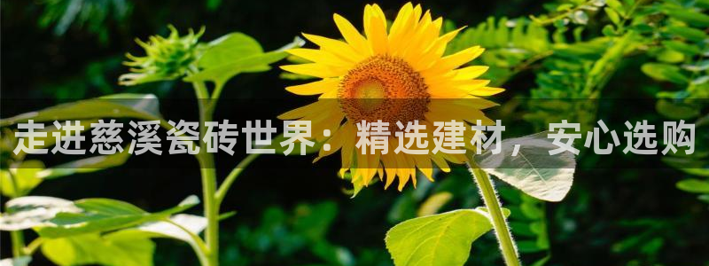 杏鑫娱乐平台登录注册网站