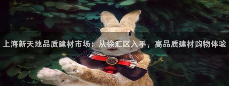 杏鑫平台代理怎么做赚钱