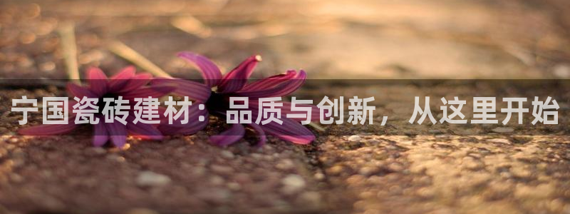 杏鑫平台注册地址是哪里