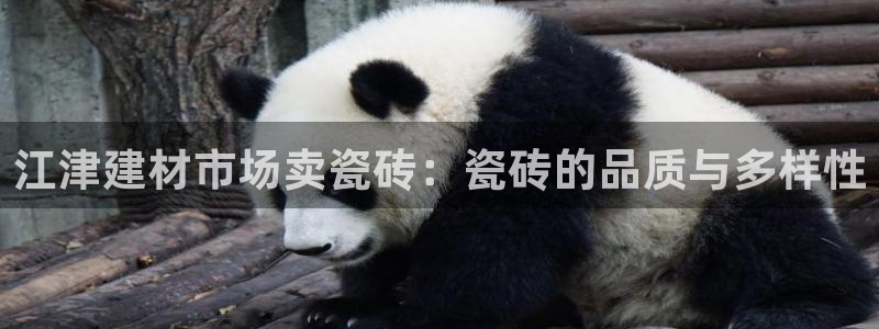 杏鑫平台线路测速