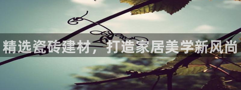 杏鑫平台注册入口在哪里找