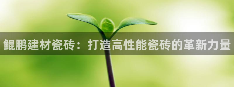 杏鑫平台注册入口