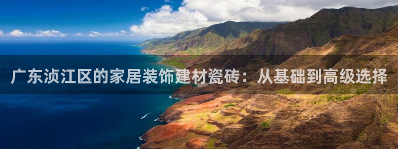 杏鑫手机客户端