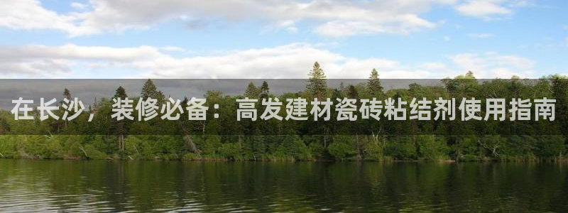 杏鑫平台注册地址在哪里