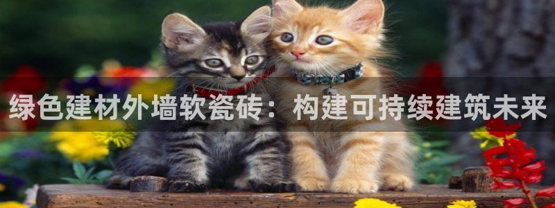 杏鑫平台代理注册多少钱一个