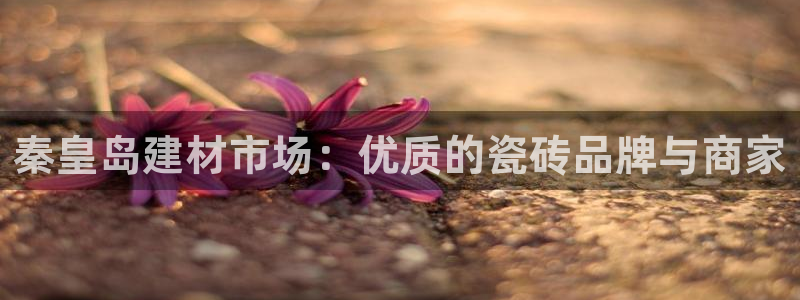 杏鑫平台代理注册